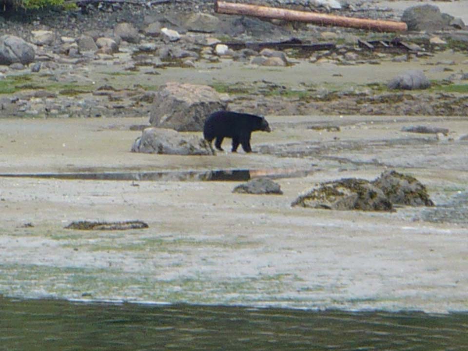 Anacortes to BC